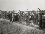   صور نادرة تُعرض للمرة الأولى من مدينة الرملة تعود لعام النكبة 1948